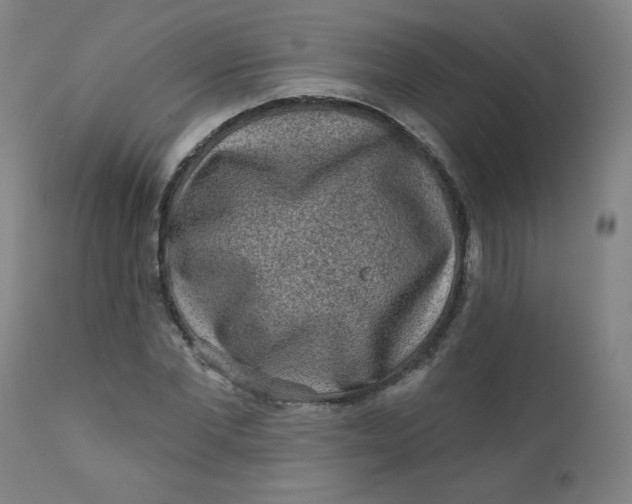 X0000112420877200909041410