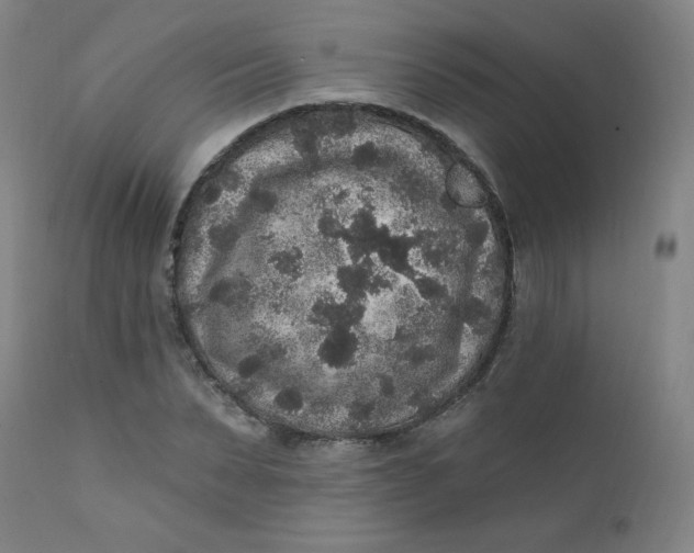 X0000112420879200909041410