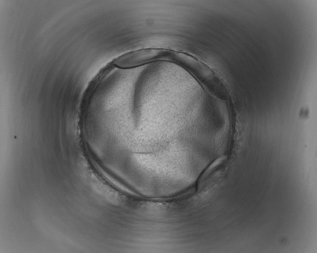 X0000112420880200909041410