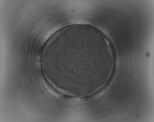 X0000112420881200909041410