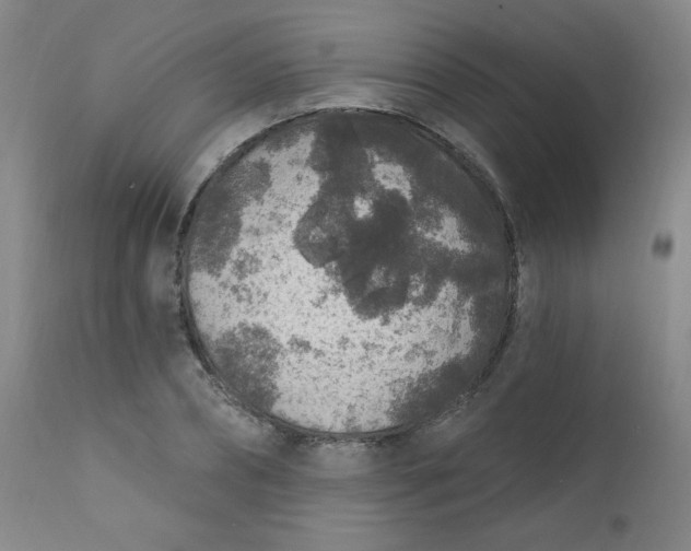 X0000112420882200909041409