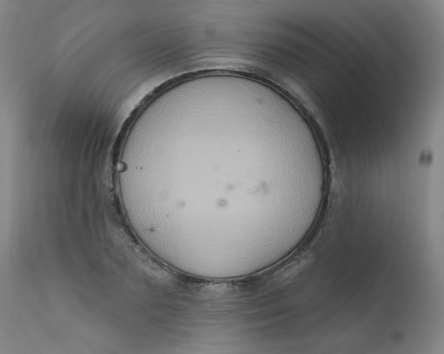 X0000112420883200909041409