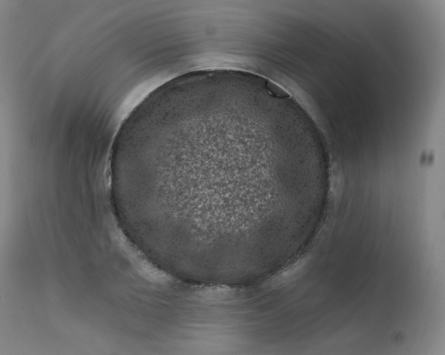 X0000112420885200909041409