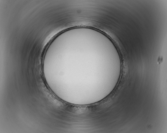 X0000112420886200909041409