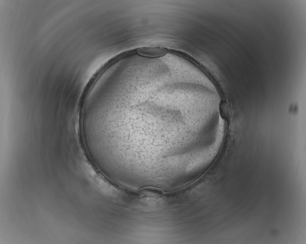 X0000112420888200909041409