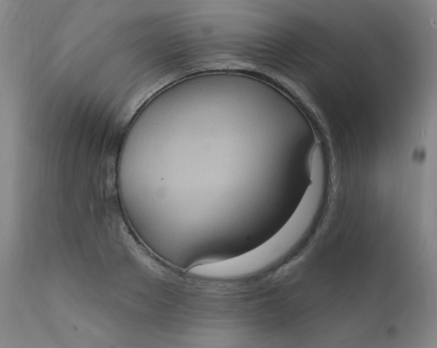 X0000112420889200909041409