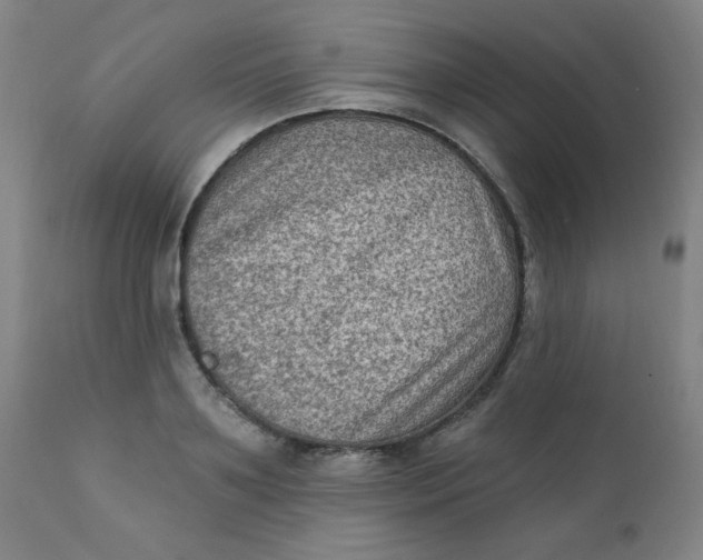 X0000112420891200909041409