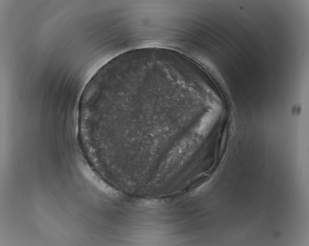 X0000112420892200909041409