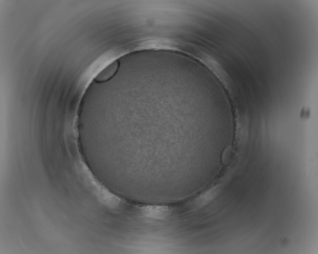 X0000112420893200909041409