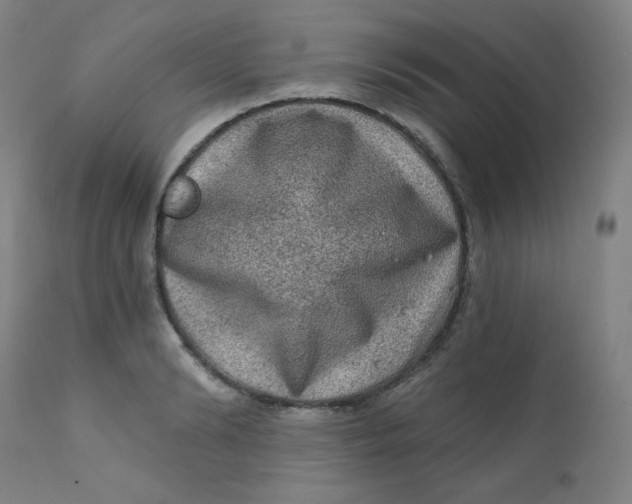 X0000112420894200909041409