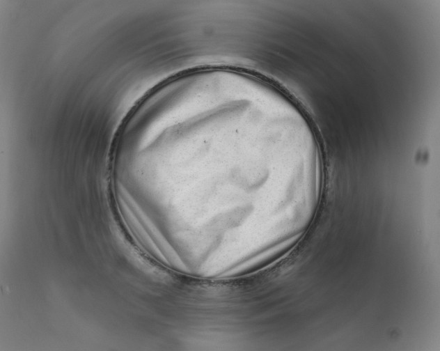 X0000112420895200909041409