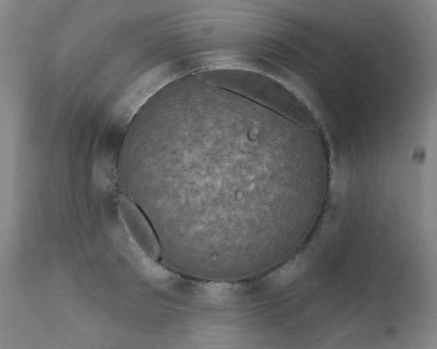 X0000112420897200909041409