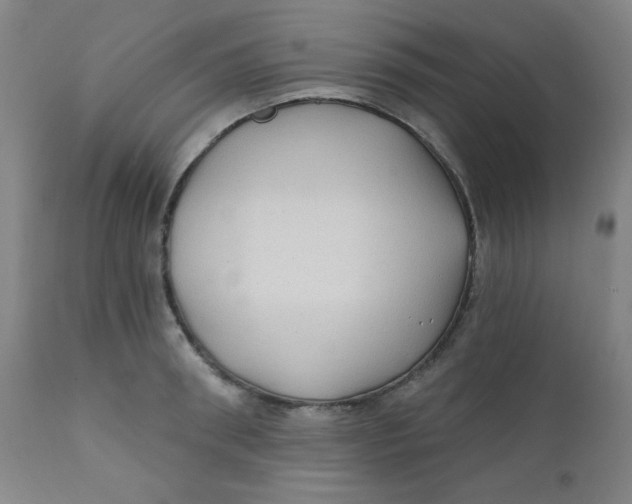 X0000112420898200909041409