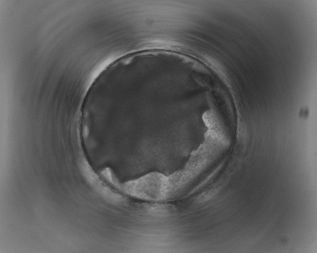 X0000112420899200909041409