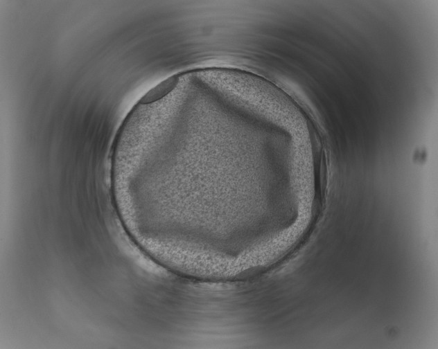 X0000112420900200909041409