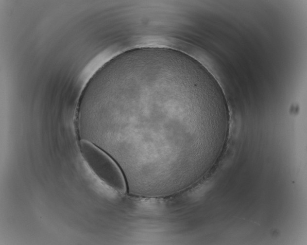 X0000112420901200909041409