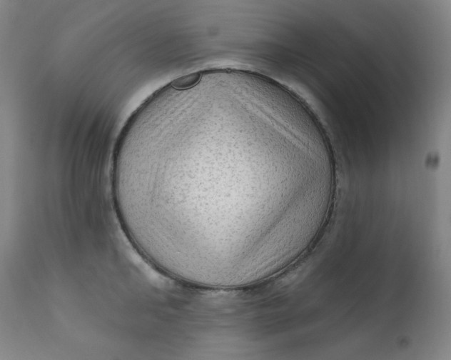 X0000112420902200909041409