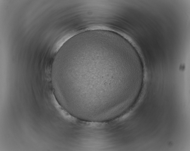 X0000112420905200909041409