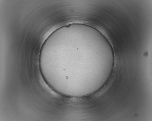 X0000112420906200909041409