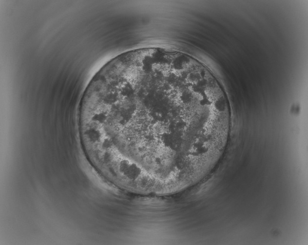 X0000112420907200909041409