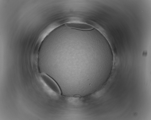 X0000112420909200909041409