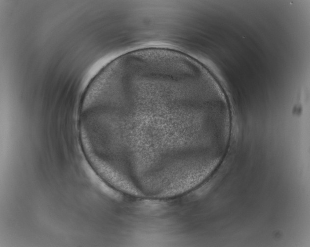 X0000112420910200909041409