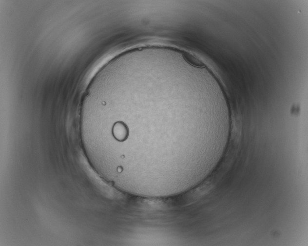 X0000112420911200909041409