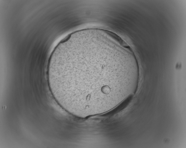 X0000112420912200909041409