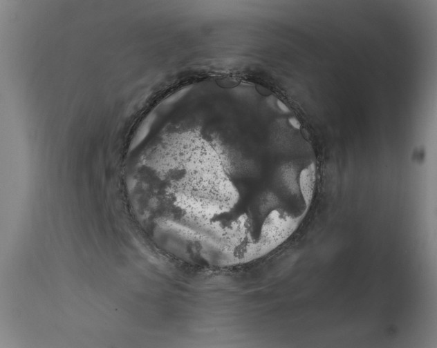 X0000112420913200909041408