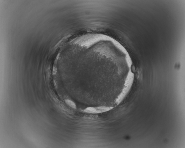 X0000112420915200909041408