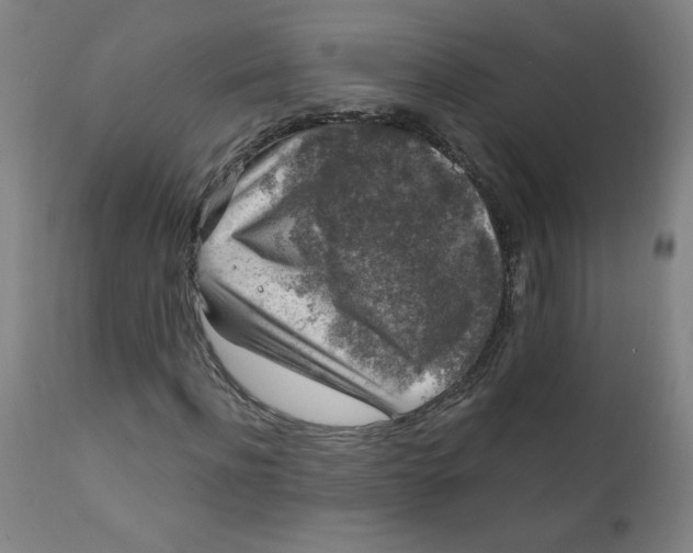 X0000112420916200909041408