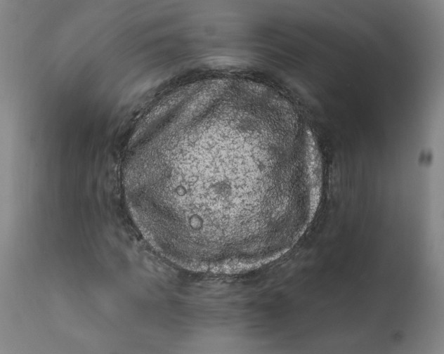 X0000112420917200909041408