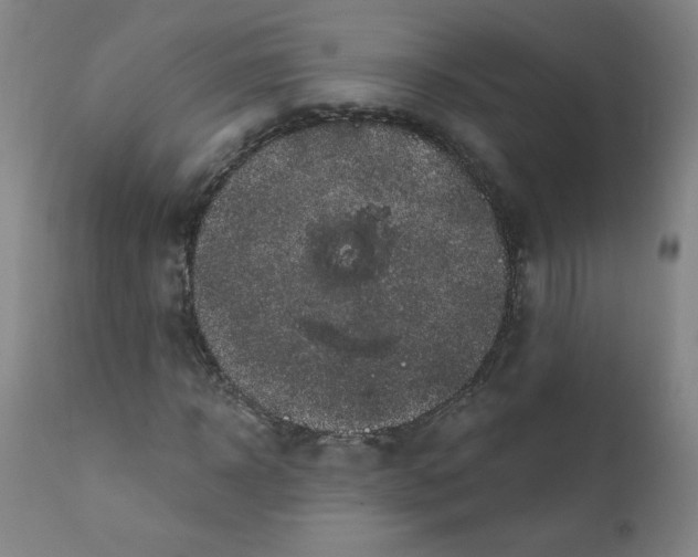 X0000112420918200909041408