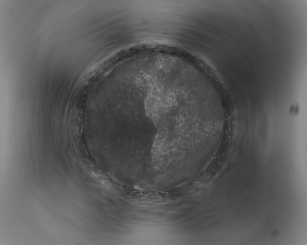 X0000112420919200909041409