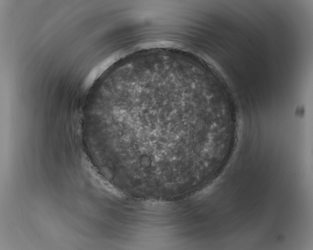 X0000112420921200909041409