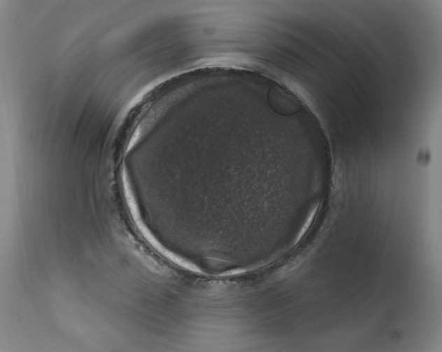 X0000112420923200909041409