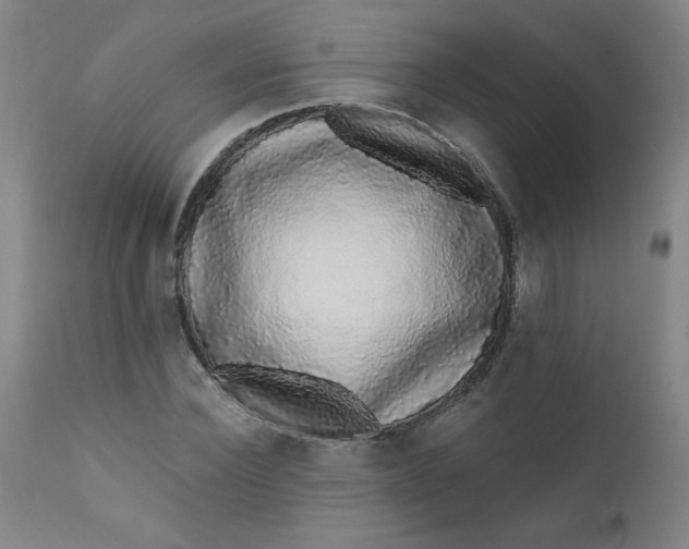 X0000112420924200909041409