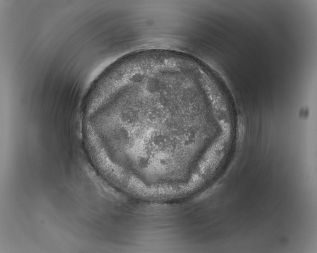 X0000112420925200909041409