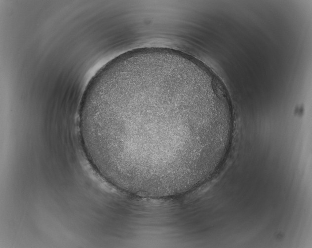 X0000112420928200909041409