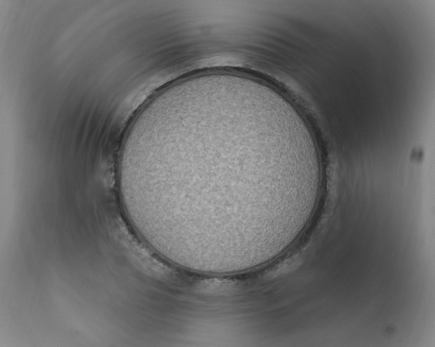 X0000112420929200909041409