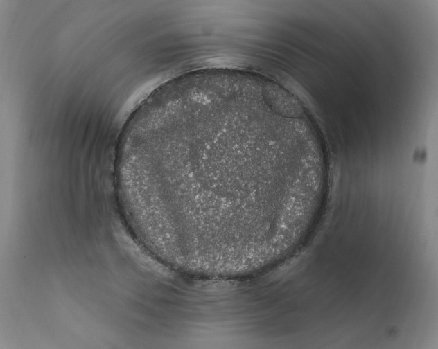 X0000112420930200909041409