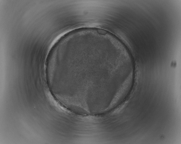 X0000112420932200909041409