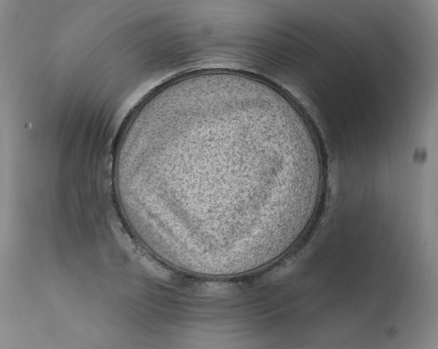 X0000112420933200909041409