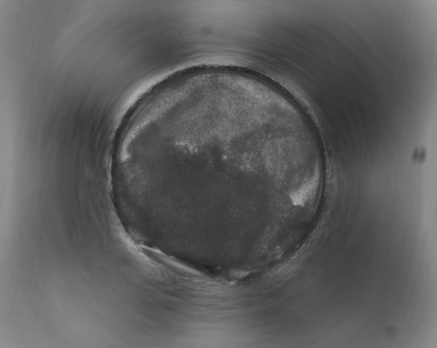 X0000112420935200909041409