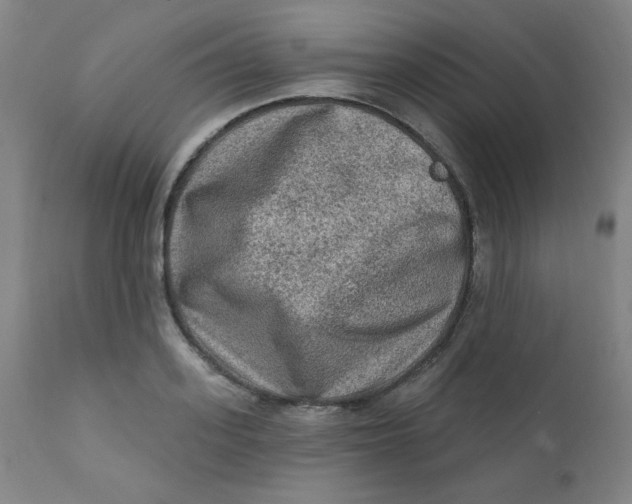 X0000112420939200909041409