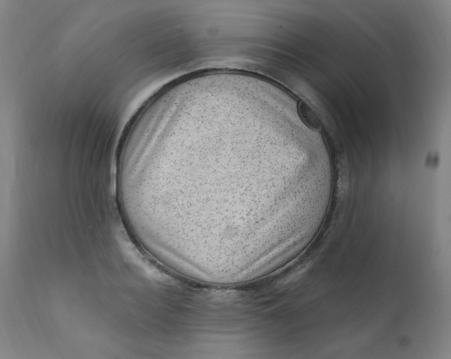 X0000112420940200909041409