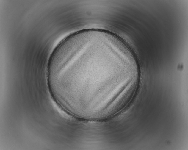 X0000112420942200909041409