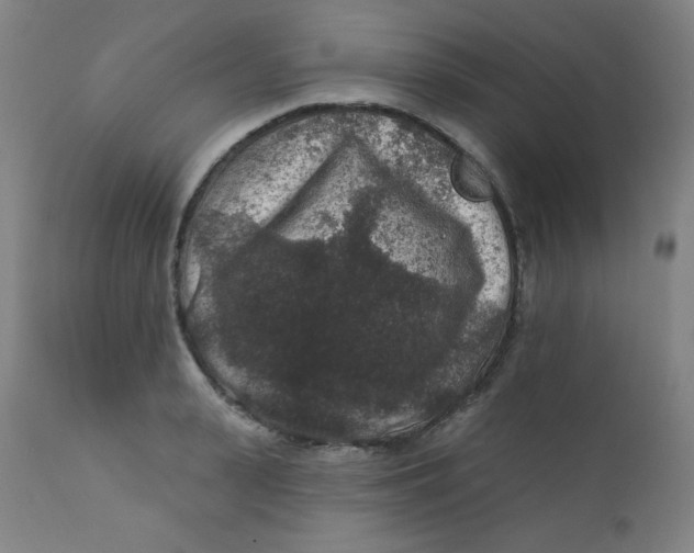 X0000112420943200909041409