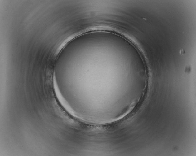 X0000112420945200909041409