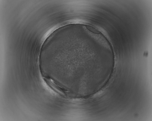 X0000112420946200909041409